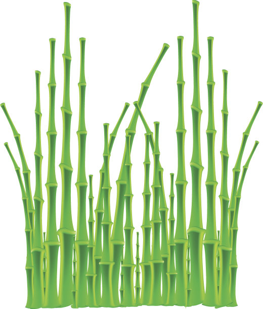 白色背景上的竹枝图片下载