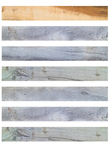 木板棕图片下载