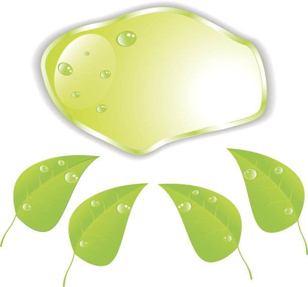 绿色叶与文本空间。向量。EPS10图片下载