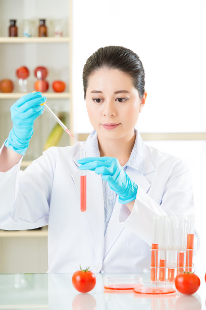 亚洲女科学家寻找番茄作为转基因食品图片下载