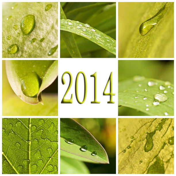 自然绿色的拼贴图片下载