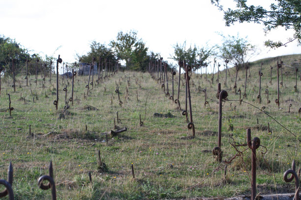 马其诺线上的辫子图片下载