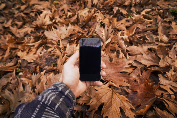使用智能手机图片下载