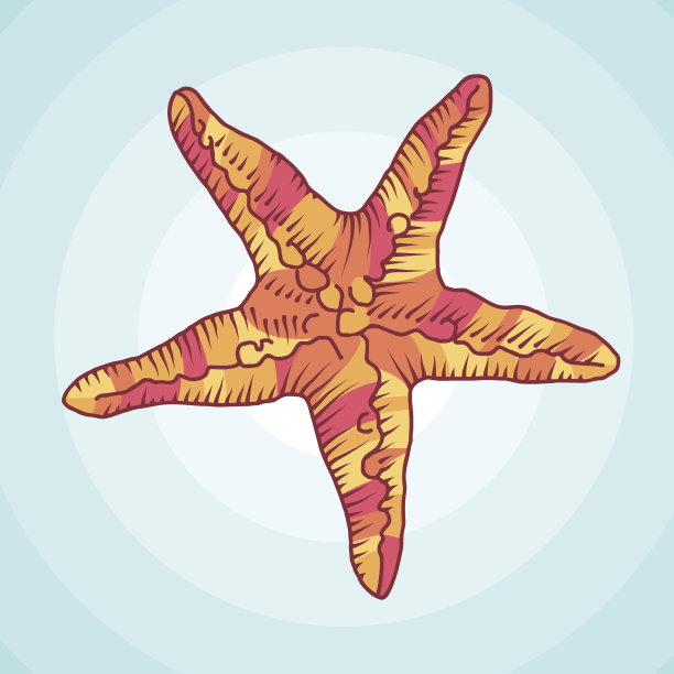 海星。向量草图。海洋抽象。图片下载