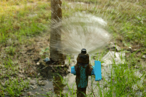泰国的喷灌图片下载