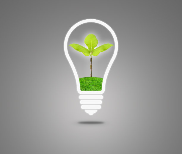 里面有芽的灯泡图片下载