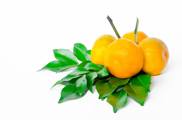 成熟的橙色水果图片下载