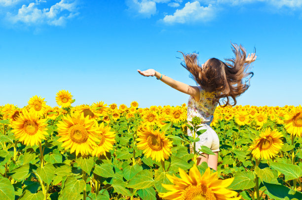 美丽的姑娘在向日葵地里图片下载