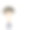 卡通男学生用语音泡泡回答问题图片下载