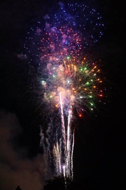 鞭炮花图片素材ID：120977812