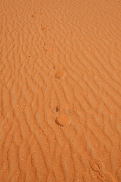 红砂沙漠图片下载