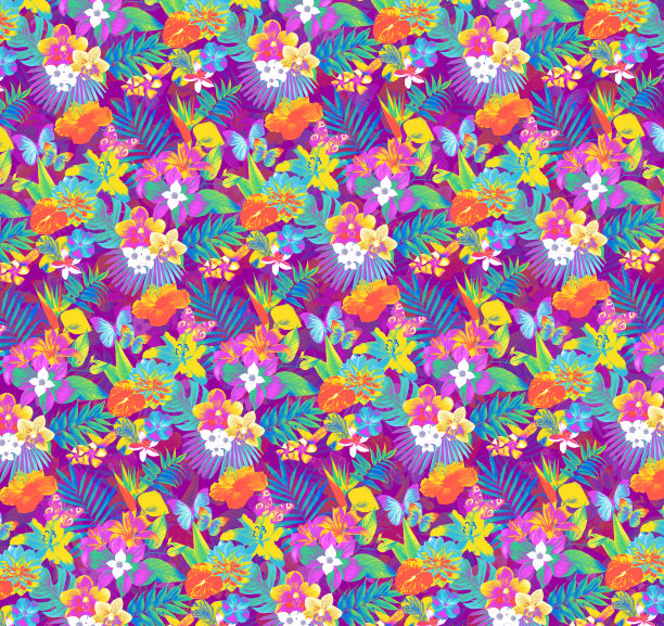 热带花卉。图片下载