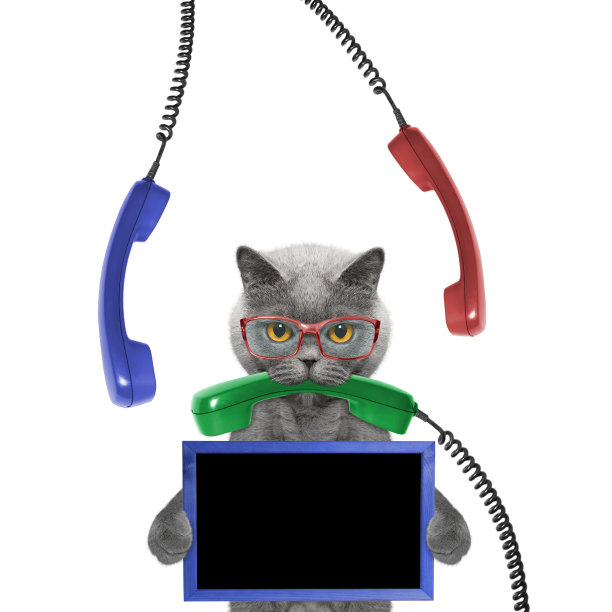 猫嘴里总叼着框架和电话图片下载