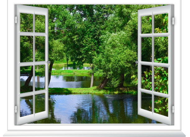 池塘的景色图片下载