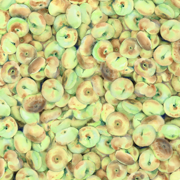 水彩背景是黄绿色的水果。图片下载