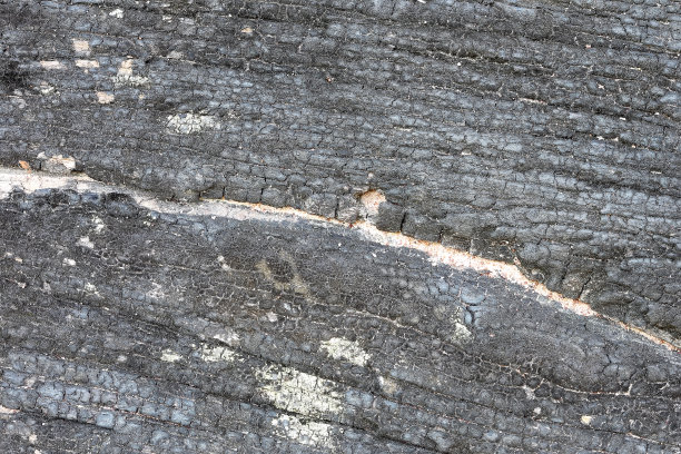 纹理老木背景图片下载