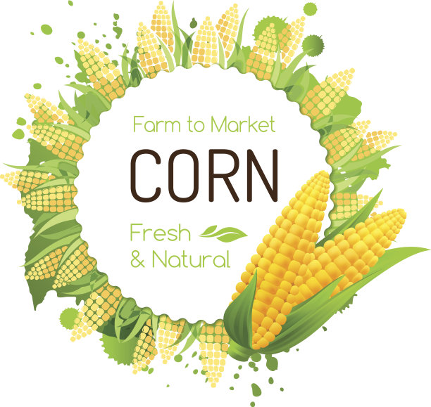 甜玉米徽章，带有玉米棒的矢量banner图片下载