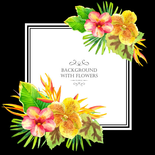 插图与现实水彩花。夏威夷夏威夷。图片下载