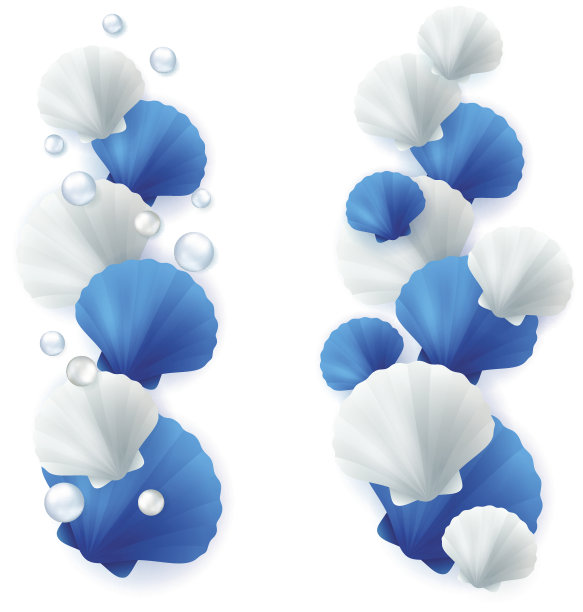 海贝壳边框设置。图片下载