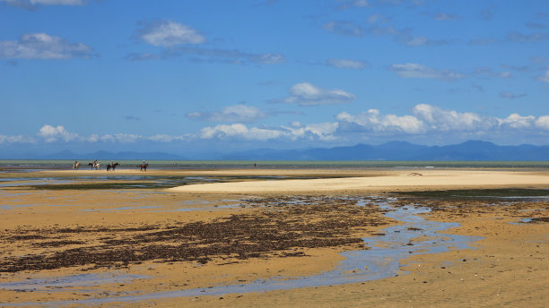 新西兰Marahau海滩几乎空无一人图片下载