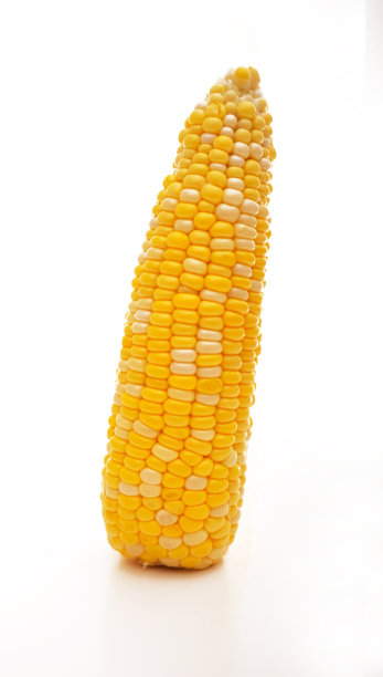 玉米图片下载