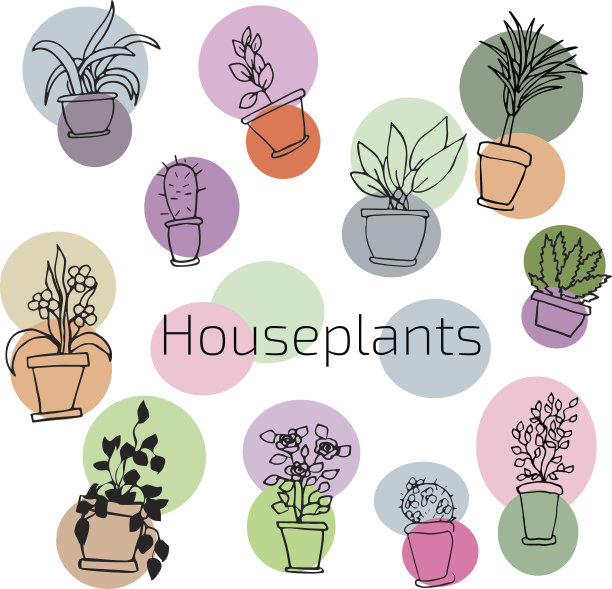 矢量设计系列室内植物在多彩的圆圈图片下载