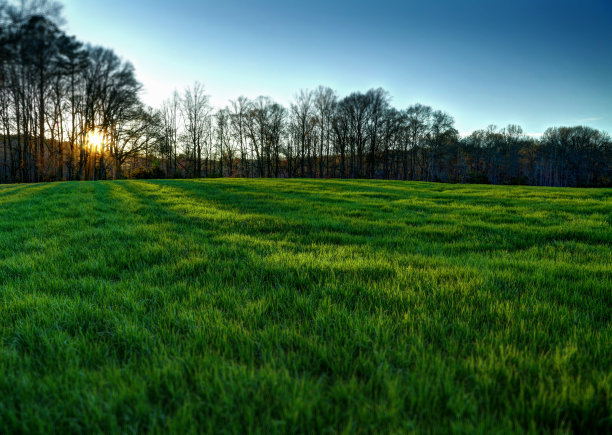 和平牧场图片下载