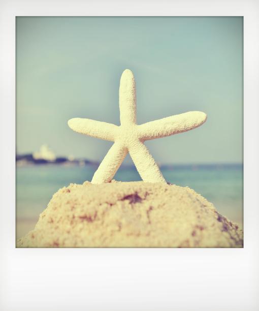 沙滩上的海星/复古照片图片下载