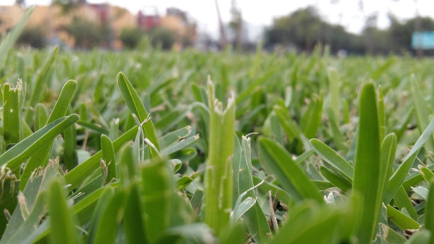 路线图图片下载