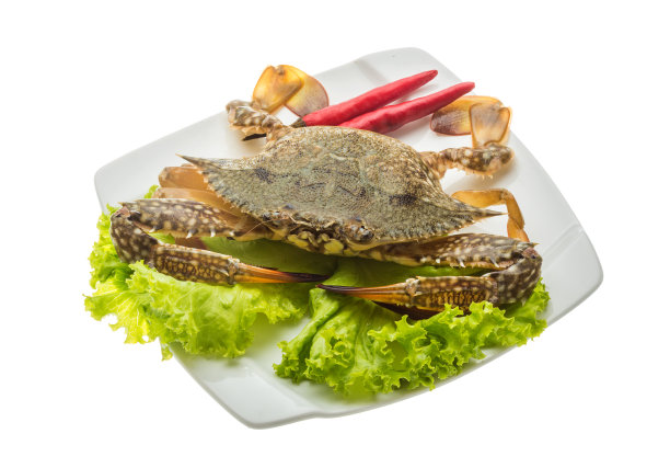 生螃蟹图片下载