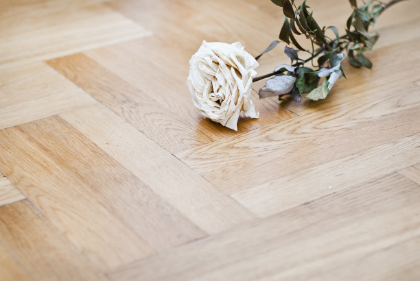 地板上的玫瑰图片下载