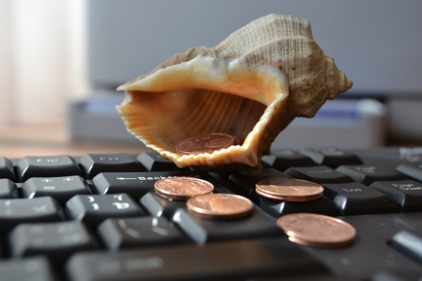 键盘与壳牌图片下载