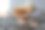 键盘与壳牌图片下载