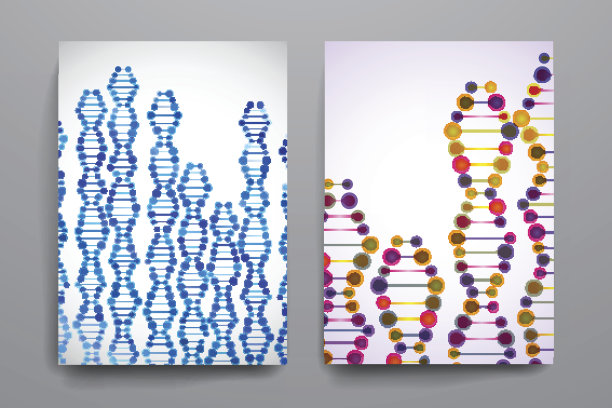 一套小册子，海报设计模板在DNA分子风格图片下载