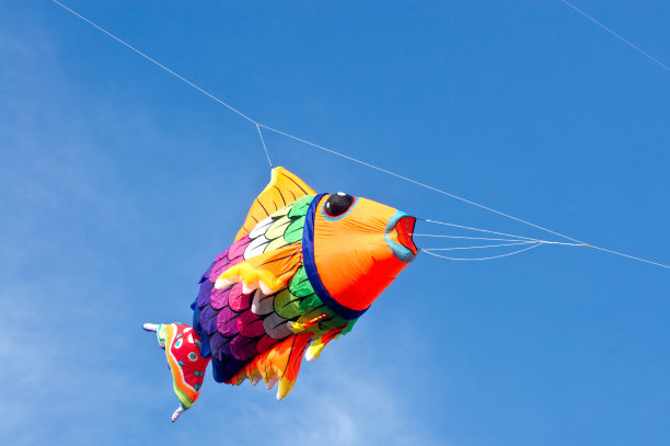 五彩缤纷的风筝。图片下载