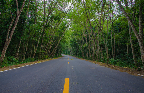 沿着一段自然的旅程。图片下载