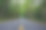 沿着一段自然的旅程。图片下载