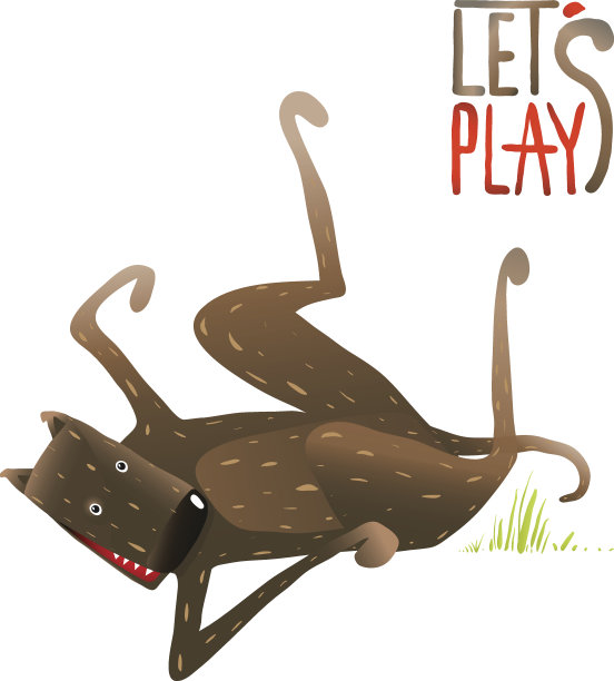 有趣的微笑快乐的狗躺在它的背上玩图片下载