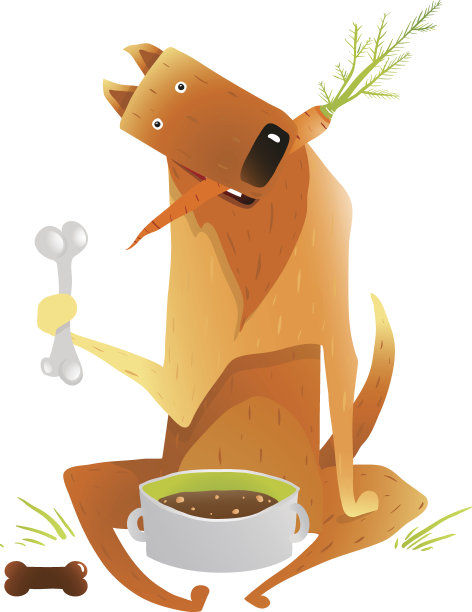 喂养快乐的红狗健康均衡的饮食图片下载