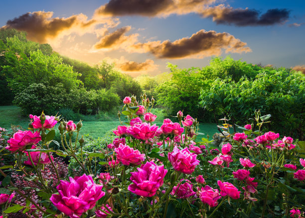 农村德州日出图片下载