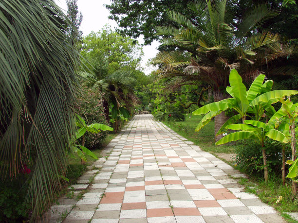 热带公园的小路图片下载