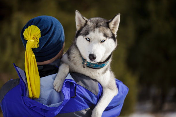 带着哈士奇的快乐男人图片下载