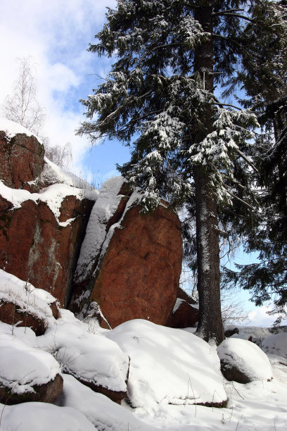 阳光明媚的一天图片下载