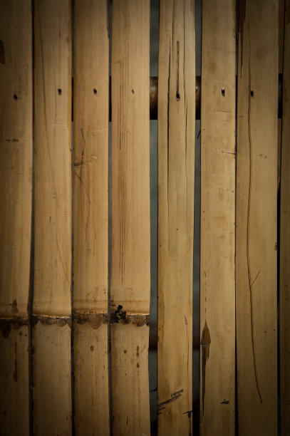 竹子的背景图片下载