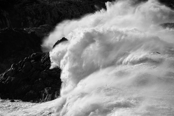 黑上白图片下载