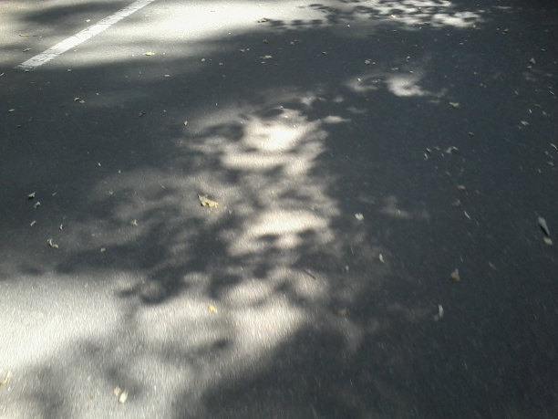 公园和大学建筑图片下载