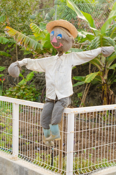 原来的稻草人。图片下载