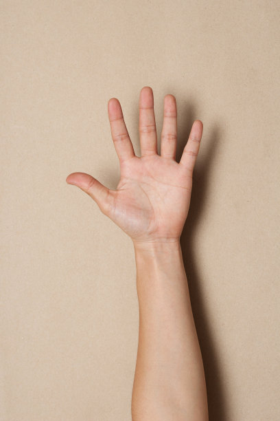 手的象征图片下载