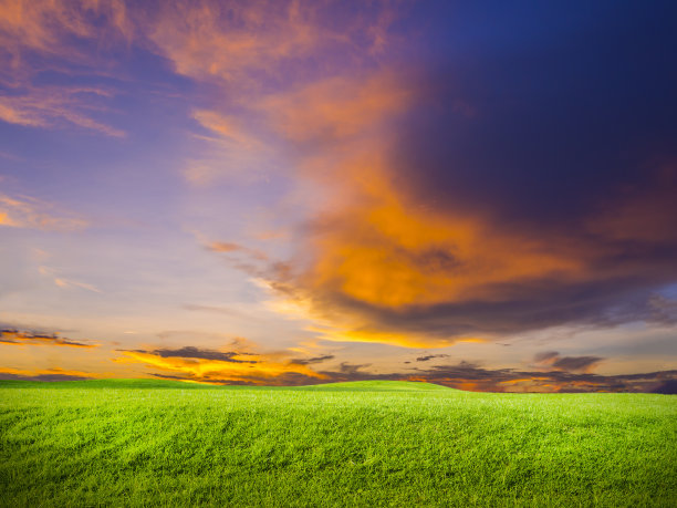 绿草和夕阳图片下载