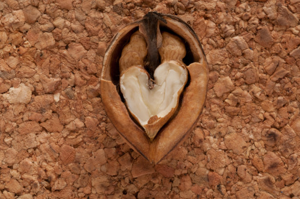 软木半胡桃图片下载